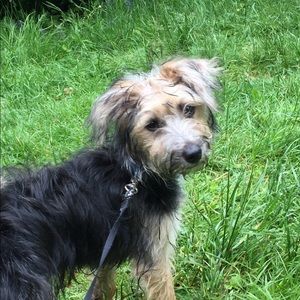 Meet your Posher, Kylie